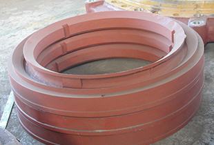 Lower seal ring