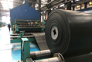 Steel cord conveyor belt